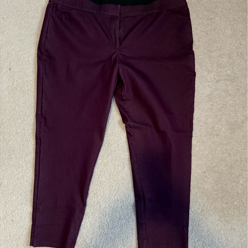 EVRI Women's Dark Purple Pants